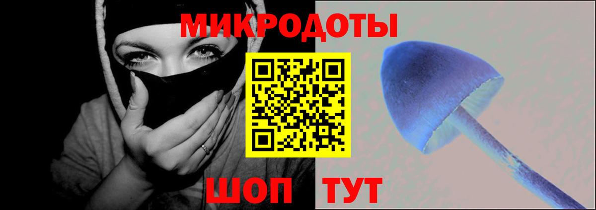 Моздок  Псилоцибиновые грибы Psilocybine cubensis  Вход с VPN 